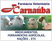 FARMÁCIA J. CARNAÚBA